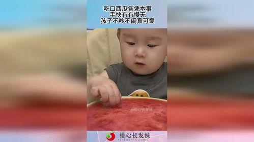 凭本事吃瓜,揭秘娱乐圈幕后真相