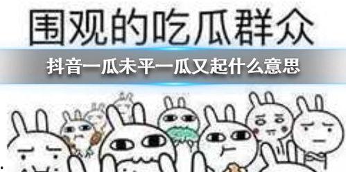 魏县抖音吃瓜,揭秘当地美食背后的故事