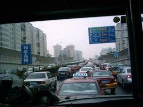 吃瓜堵车照片,拥堵现场成“瓜田”