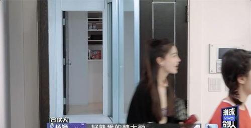 吃瓜合伙人贪污,揭开娱乐圈背后的利益纠葛