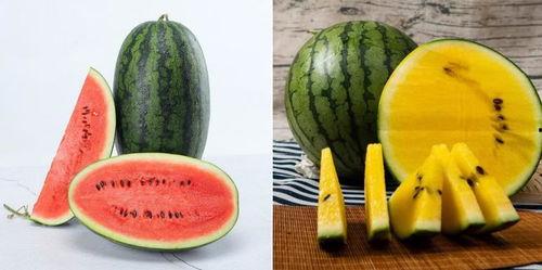 种瓜之人吃烂瓜,瓜农的收获与启示