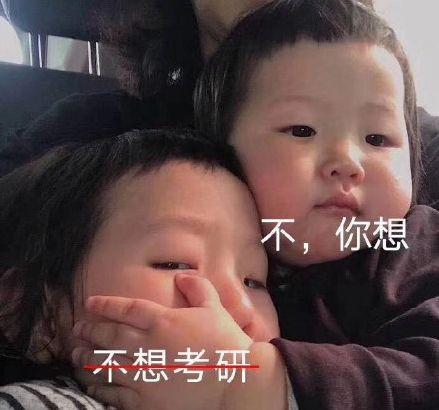 吃瓜好艰难,揭秘吃瓜背后的艰难历程