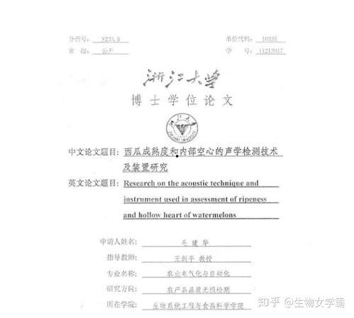 关于吃瓜的论文,现象解析与影响探讨