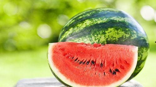 吃瓜可以有,揭秘吃瓜背后的趣味与真相