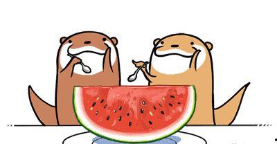 不得吃瓜说瓜不甜,揭秘“不得吃瓜说瓜不甜”的深层含义