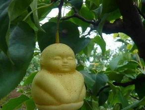 吃瓜小群名称,一场网络社交的狂欢盛宴