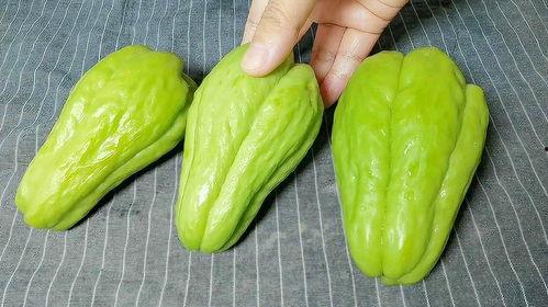 狗狗吃佛手瓜好吗怎么吃