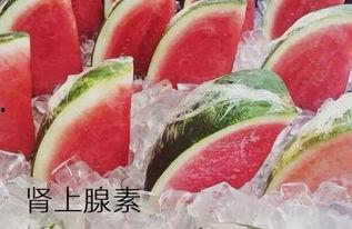 董丽颖海伦吃瓜,揭秘娱乐圈幕后故事