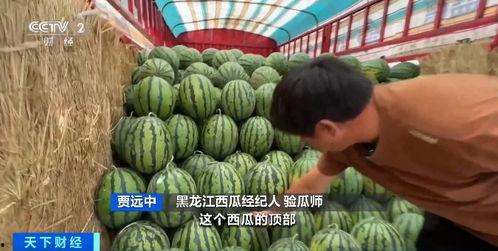 吃瓜被捡钱,意外捡钱背后的惊喜故事