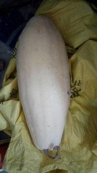 大白在吃瓜作者,揭秘娱乐圈那些不为人知的幕后故事