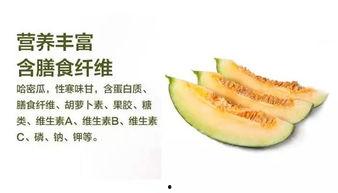 正在吃哈密的瓜,甜蜜滋味尽享时光