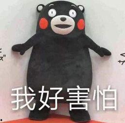 无语吃瓜事件盘点,盘点网络热议事件背后的真相与反思