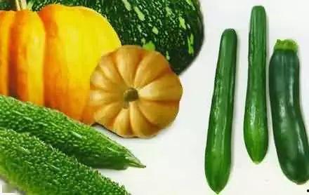 早朝吃瓜,揭秘宫廷中的宫廷美食文化