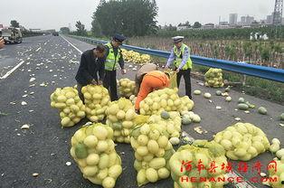 许昌吃瓜拍照地方,瓜田风光摄影新热点