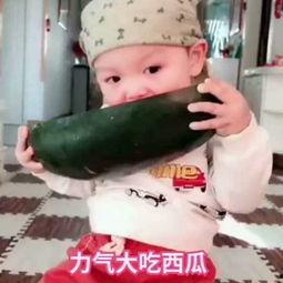 宝宝吃瓜视频大全,萌态百出视频大全