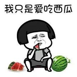 你的瓜怎么吃,探索“根据你的瓜怎么吃”的美食奥秘